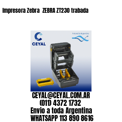 Impresora Zebra  ZEBRA ZT230 trabada