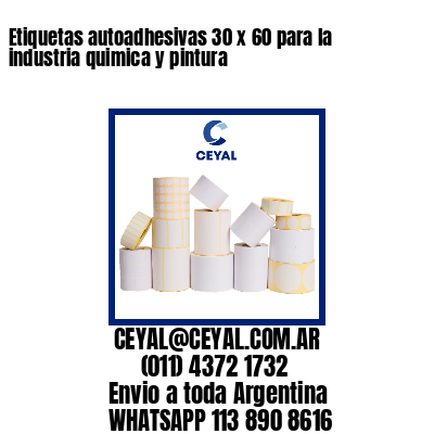 Etiquetas autoadhesivas 30 x 60 para la industria quimica y pintura 