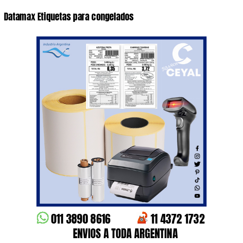 Datamax Etiquetas para congelados