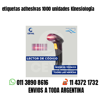 etiquetas adhesivas 1000 unidades Kinesiología