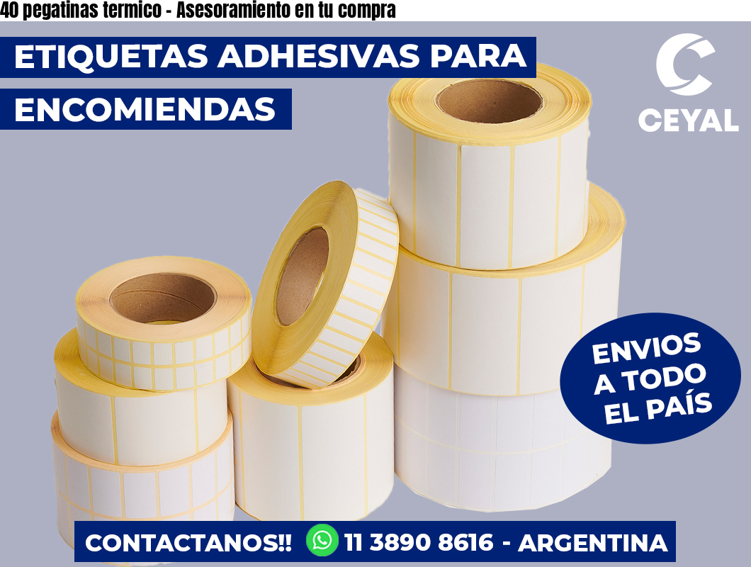 40 pegatinas termico - Asesoramiento en tu compra