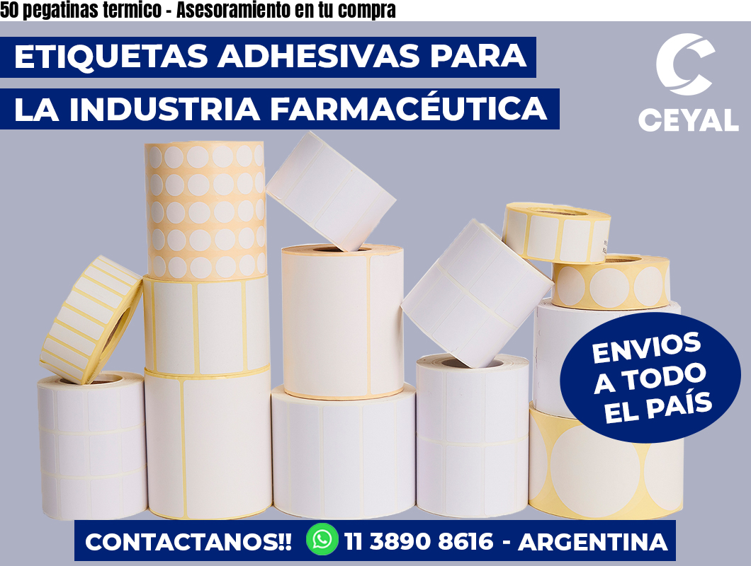 50 pegatinas termico - Asesoramiento en tu compra