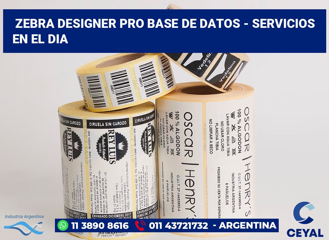 Zebra Designer PRO Base de Datos - Servicios en el dia