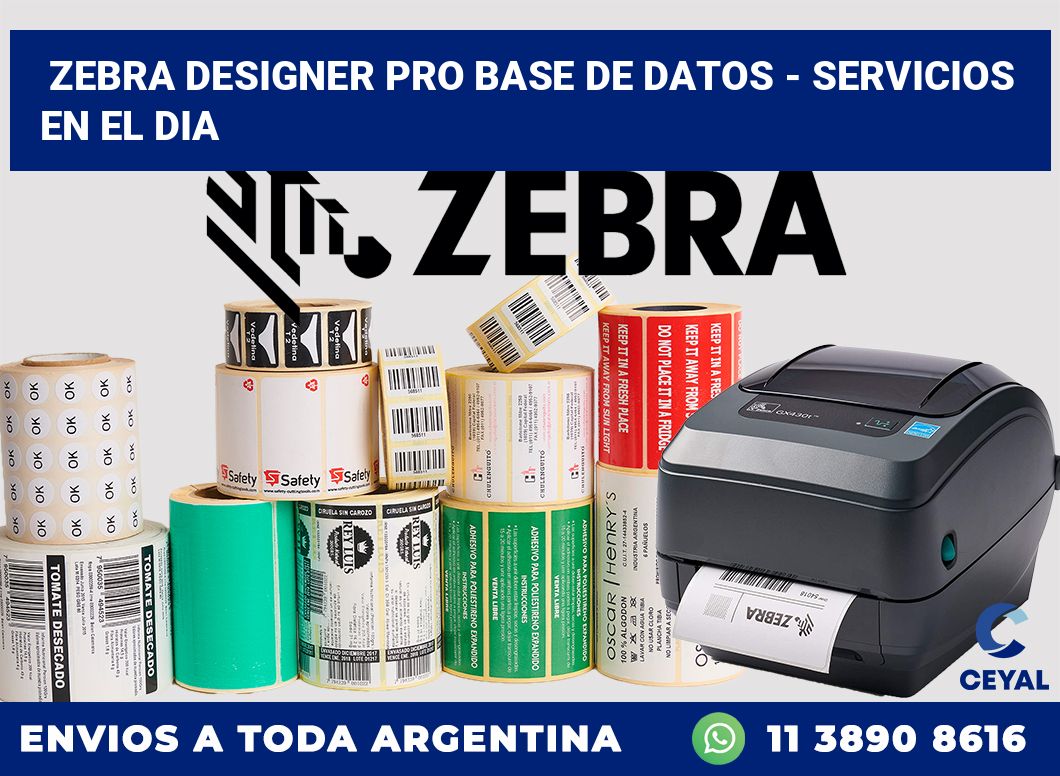 Zebra Designer PRO Base de Datos - Servicios en el dia