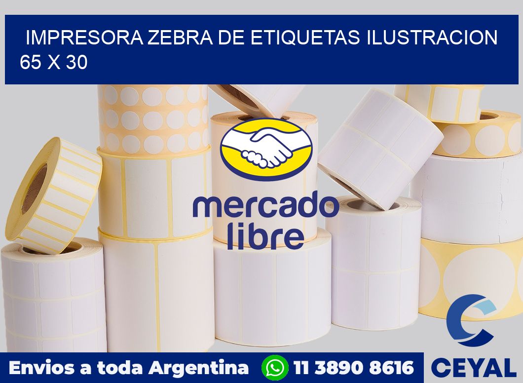 Impresora Zebra de etiquetas ilustracion 65 x 30