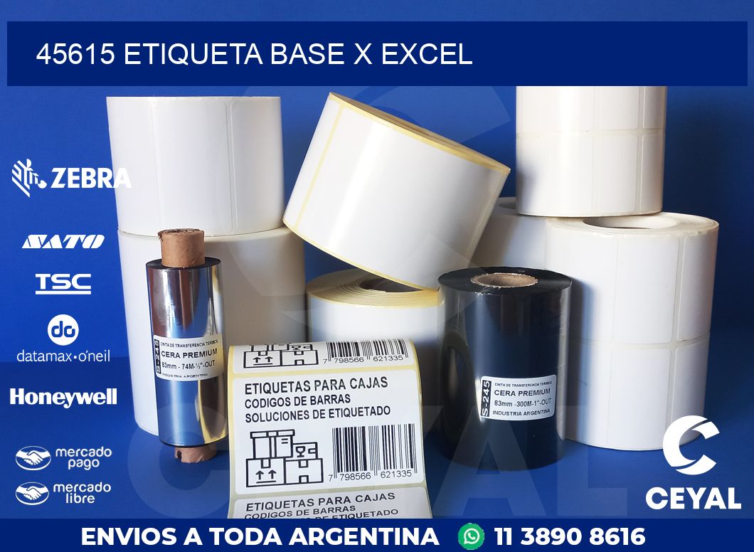 45615 etiqueta base x excel