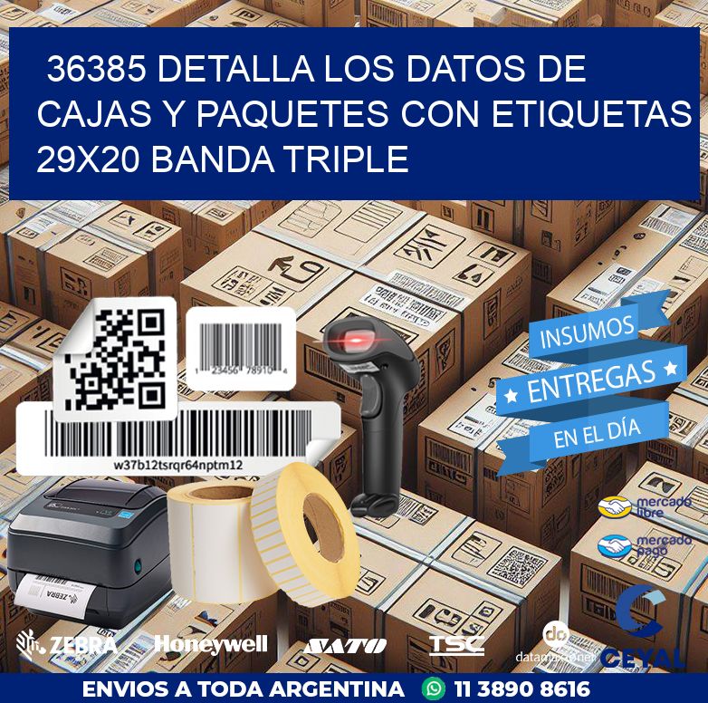 36385 DETALLA LOS DATOS DE CAJAS Y PAQUETES CON ETIQUETAS 29X20 BANDA TRIPLE