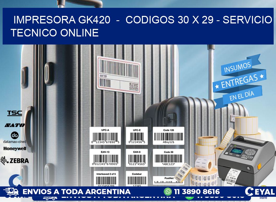 IMPRESORA GK420  -  CODIGOS 30 x 29 - SERVICIO TECNICO ONLINE