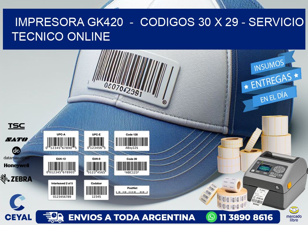 IMPRESORA GK420  -  CODIGOS 30 x 29 - SERVICIO TECNICO ONLINE