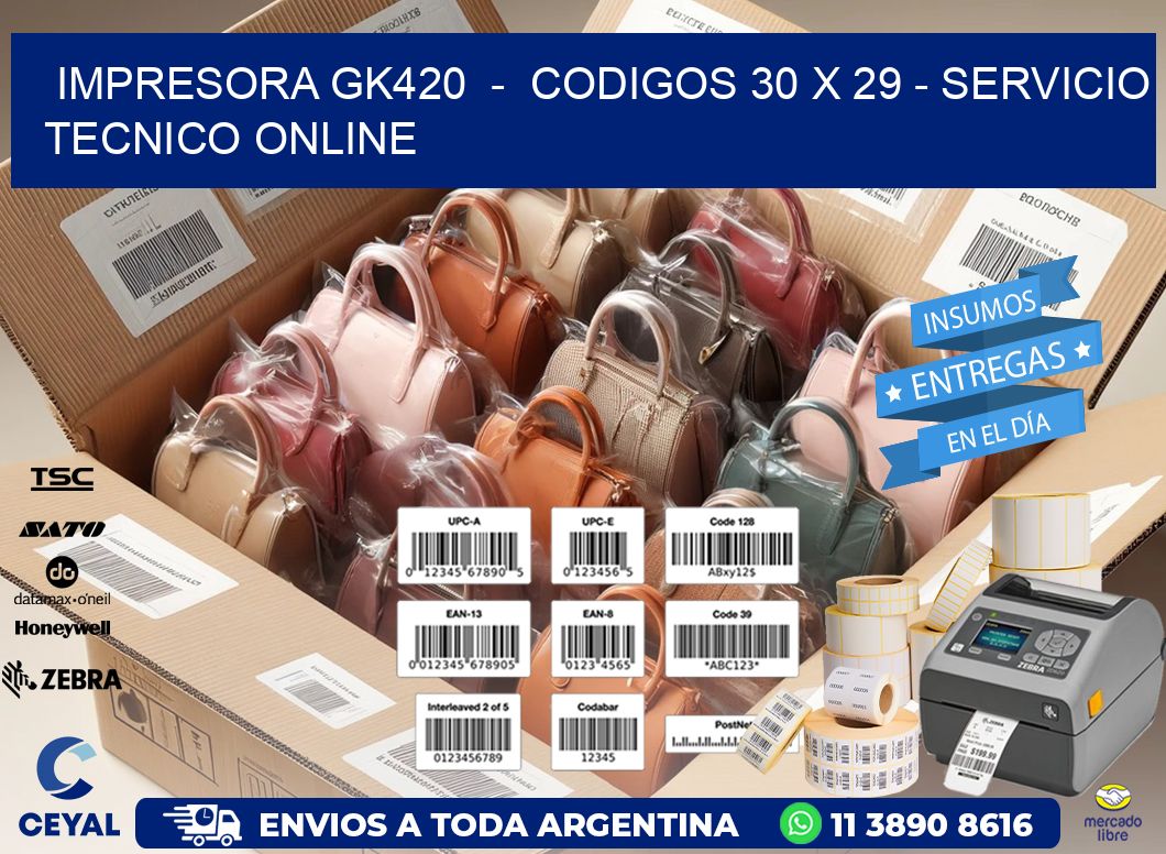 IMPRESORA GK420  -  CODIGOS 30 x 29 - SERVICIO TECNICO ONLINE