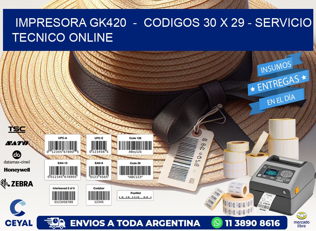 IMPRESORA GK420  –  CODIGOS 30 x 29 – SERVICIO TECNICO ONLINE