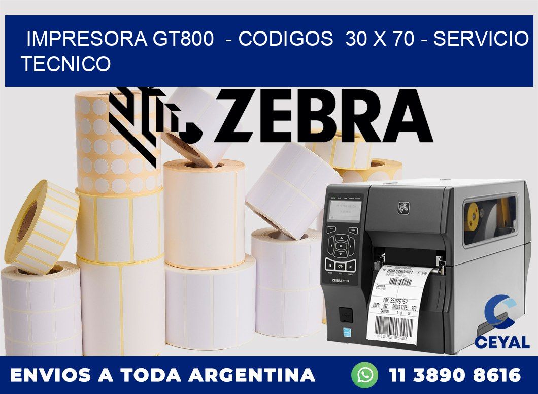 IMPRESORA GT800  - CODIGOS  30 x 70 - SERVICIO TECNICO