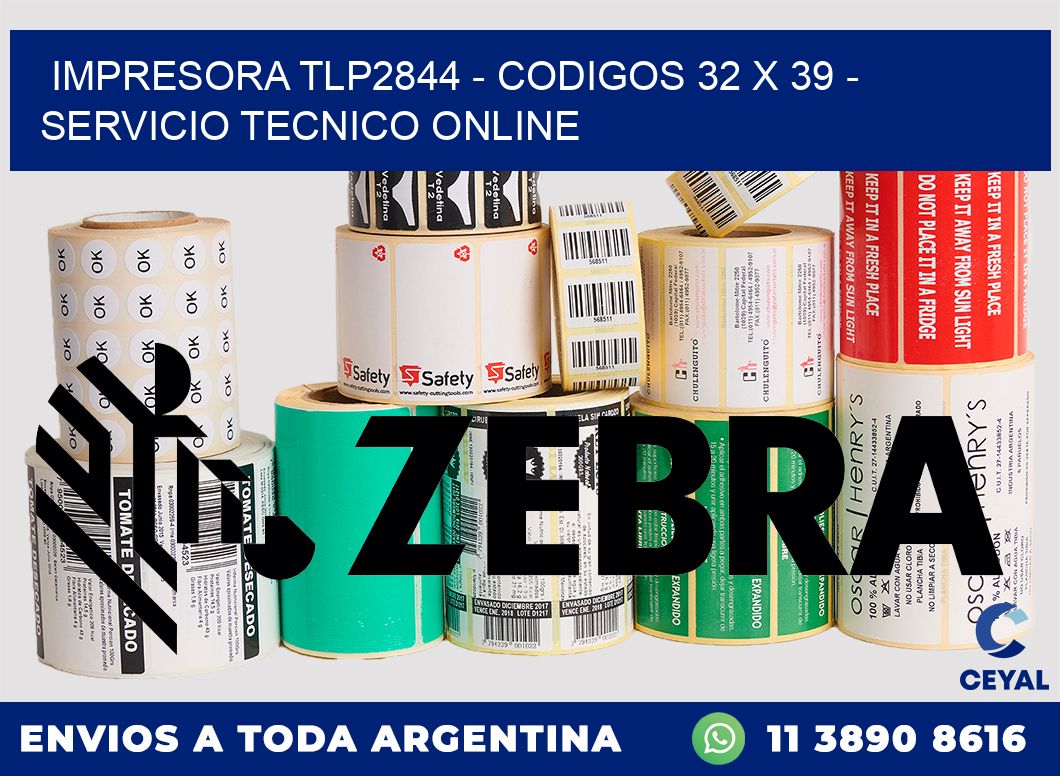 IMPRESORA TLP2844 - CODIGOS 32 x 39 - SERVICIO TECNICO ONLINE