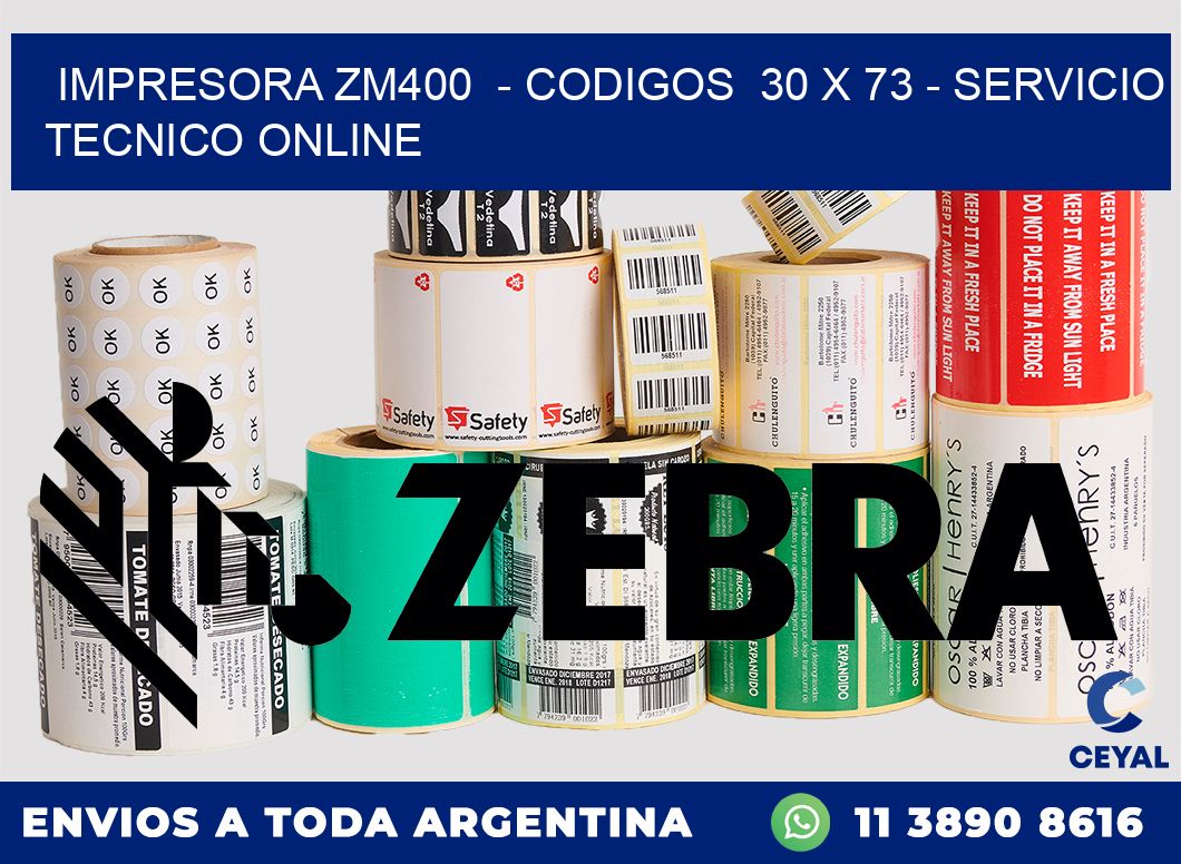 IMPRESORA ZM400  - CODIGOS  30 x 73 - SERVICIO TECNICO ONLINE