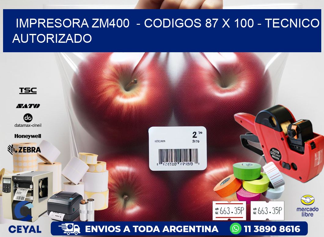 IMPRESORA ZM400  - CODIGOS 87 x 100 - TECNICO AUTORIZADO