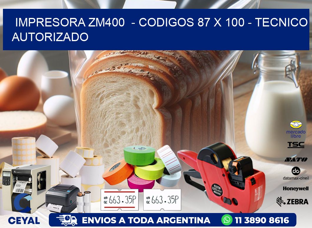 IMPRESORA ZM400  - CODIGOS 87 x 100 - TECNICO AUTORIZADO