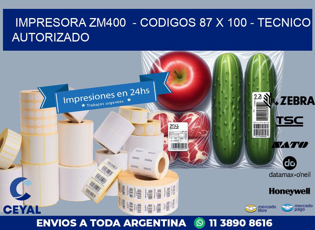 IMPRESORA ZM400  - CODIGOS 87 x 100 - TECNICO AUTORIZADO