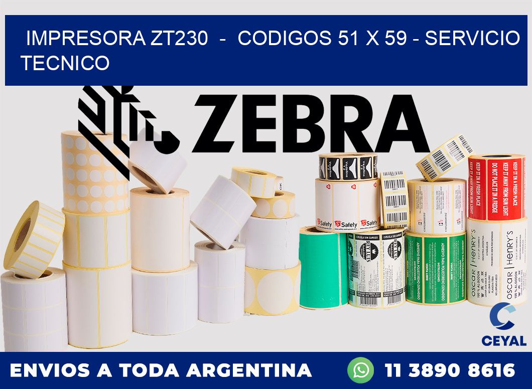 IMPRESORA ZT230  -  CODIGOS 51 x 59 - SERVICIO TECNICO