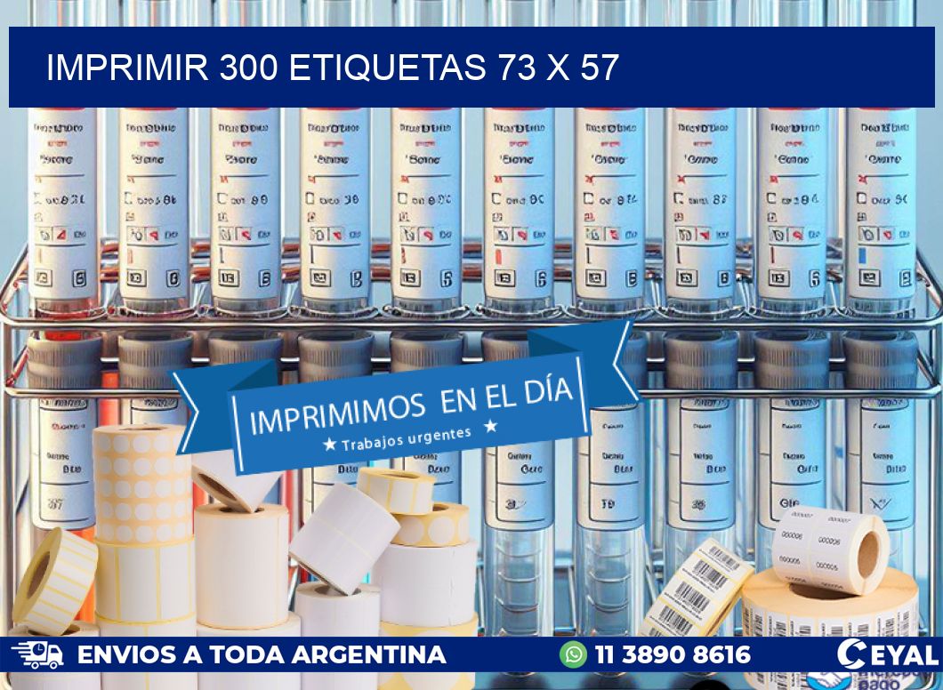 IMPRIMIR 300 ETIQUETAS 73 x 57