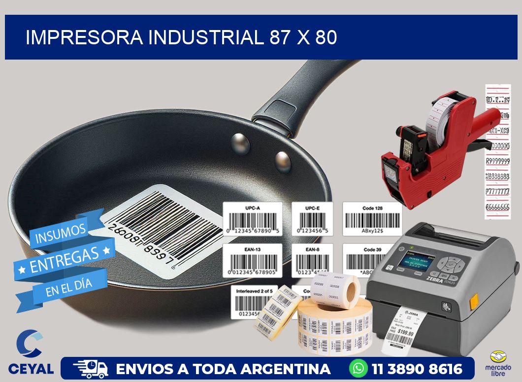 impresora industrial 87 x 80