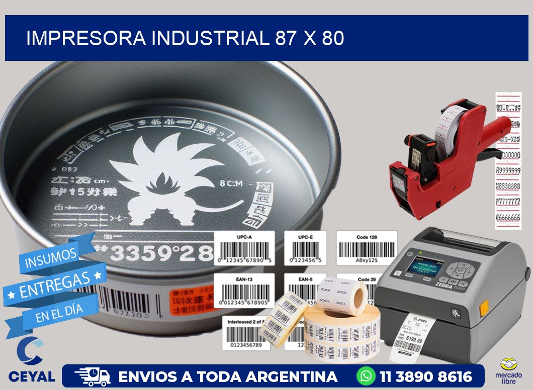 impresora industrial 87 x 80