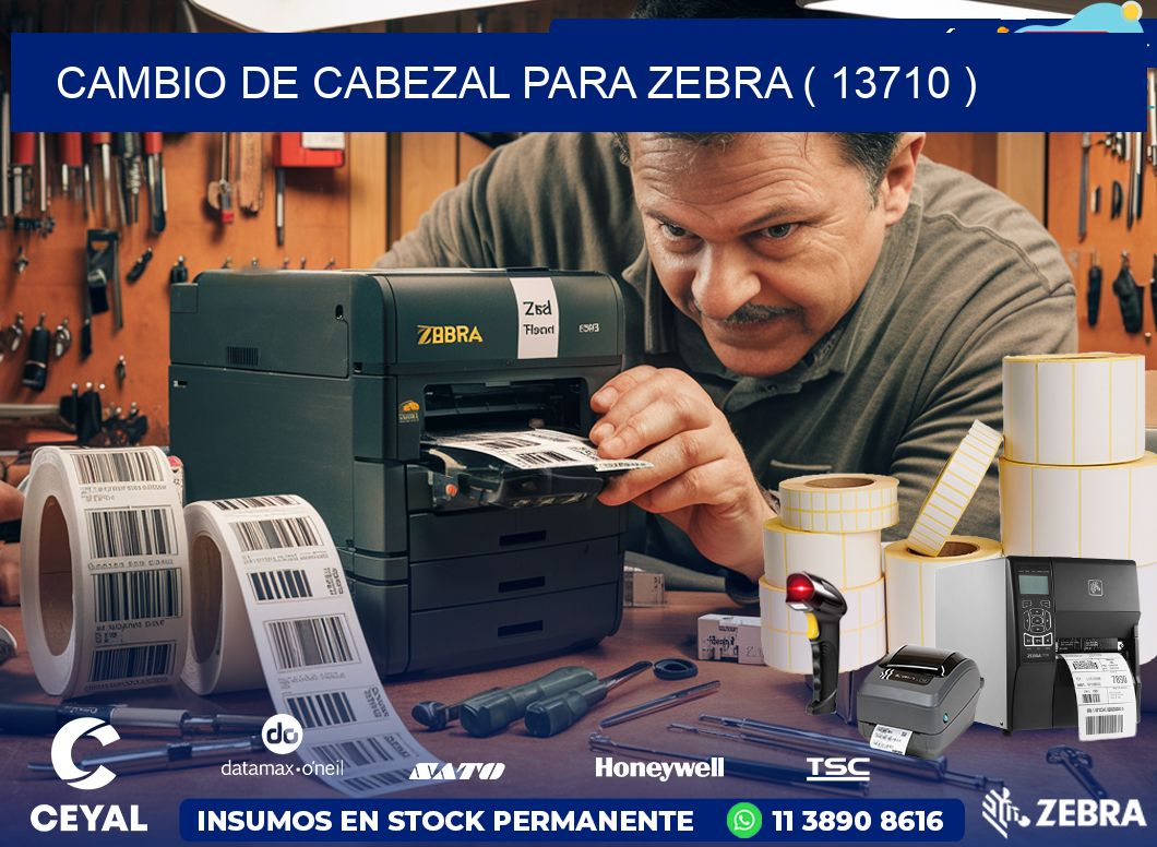 CAMBIO DE CABEZAL PARA ZEBRA ( 13710 )