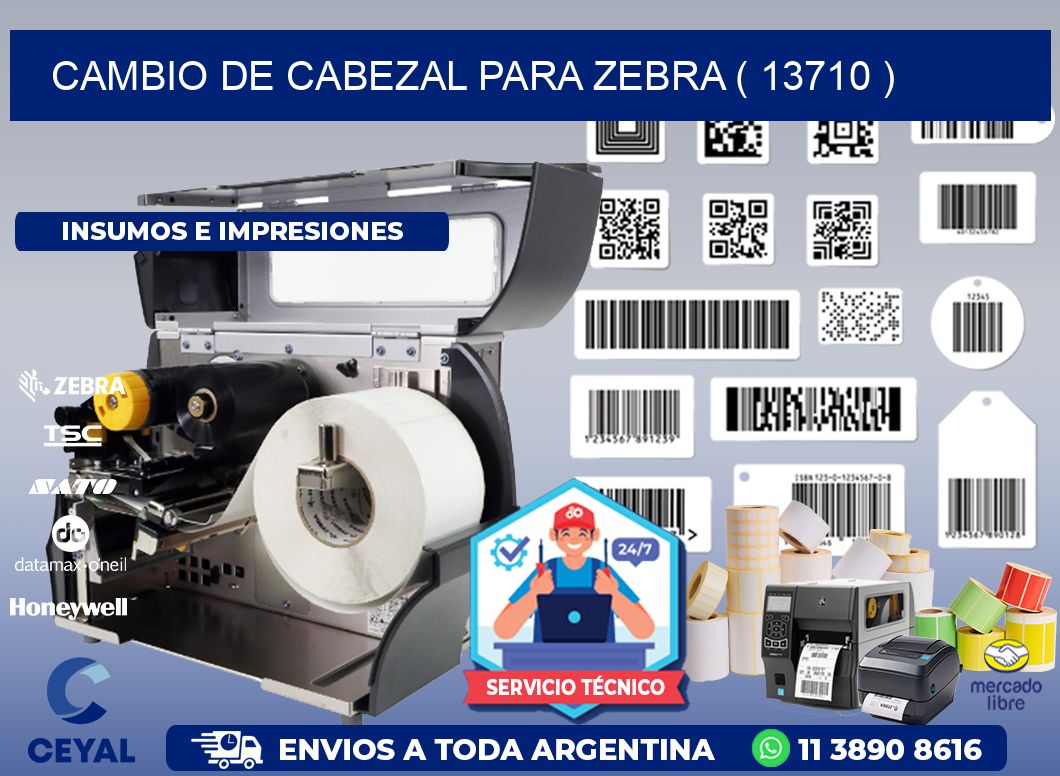 CAMBIO DE CABEZAL PARA ZEBRA ( 13710 )