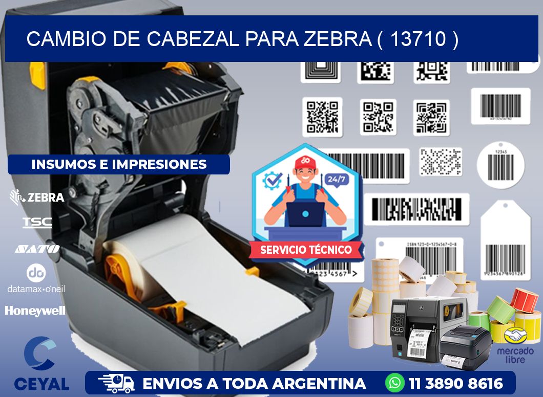 CAMBIO DE CABEZAL PARA ZEBRA ( 13710 )