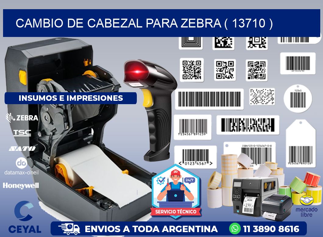 CAMBIO DE CABEZAL PARA ZEBRA ( 13710 )