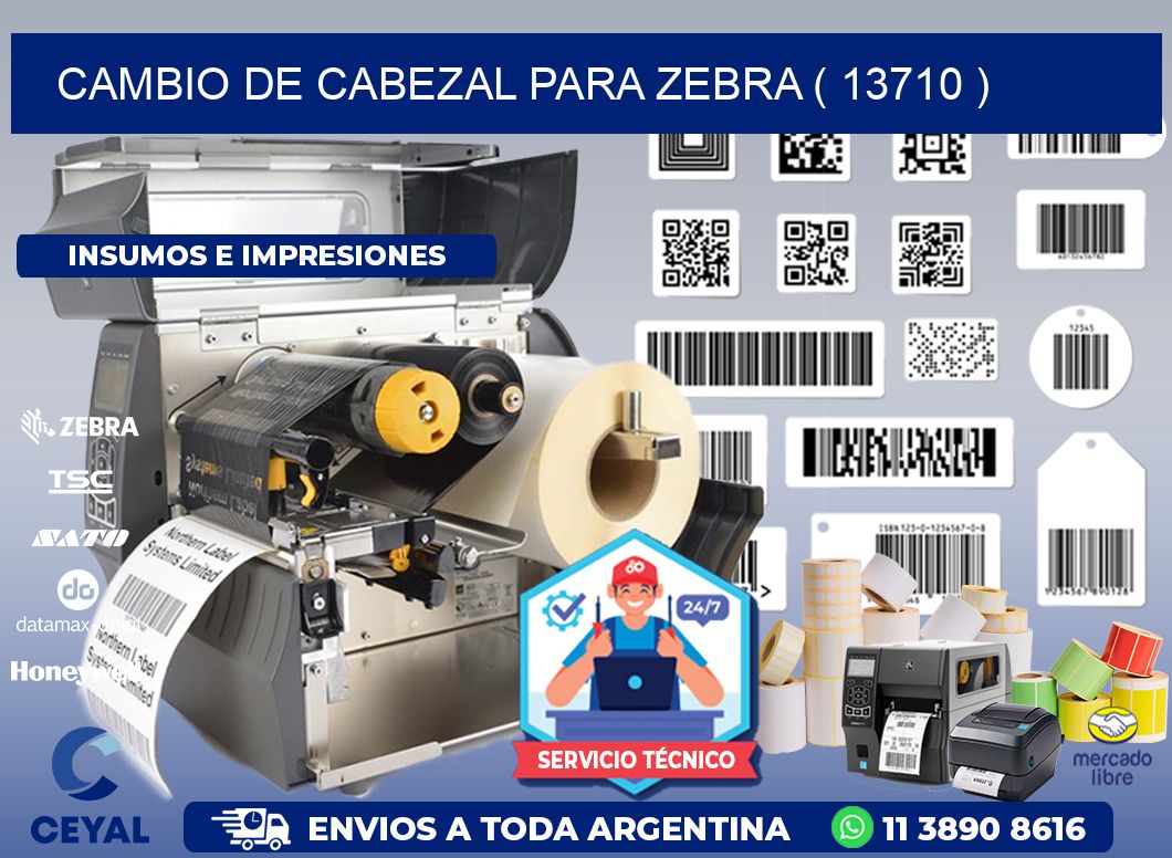 CAMBIO DE CABEZAL PARA ZEBRA ( 13710 )