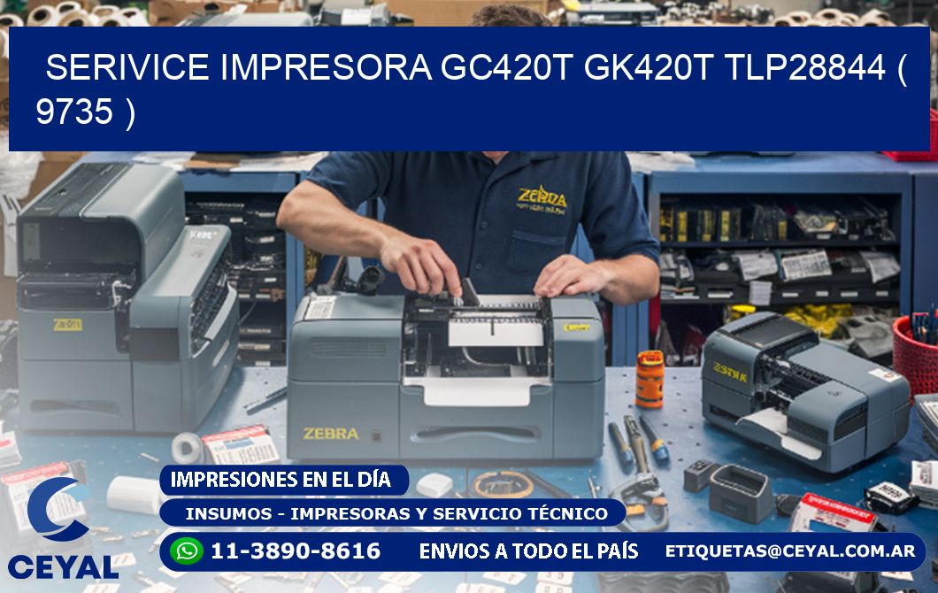 SERIVICE IMPRESORA GC420T GK420T TLP28844 ( 9735 )