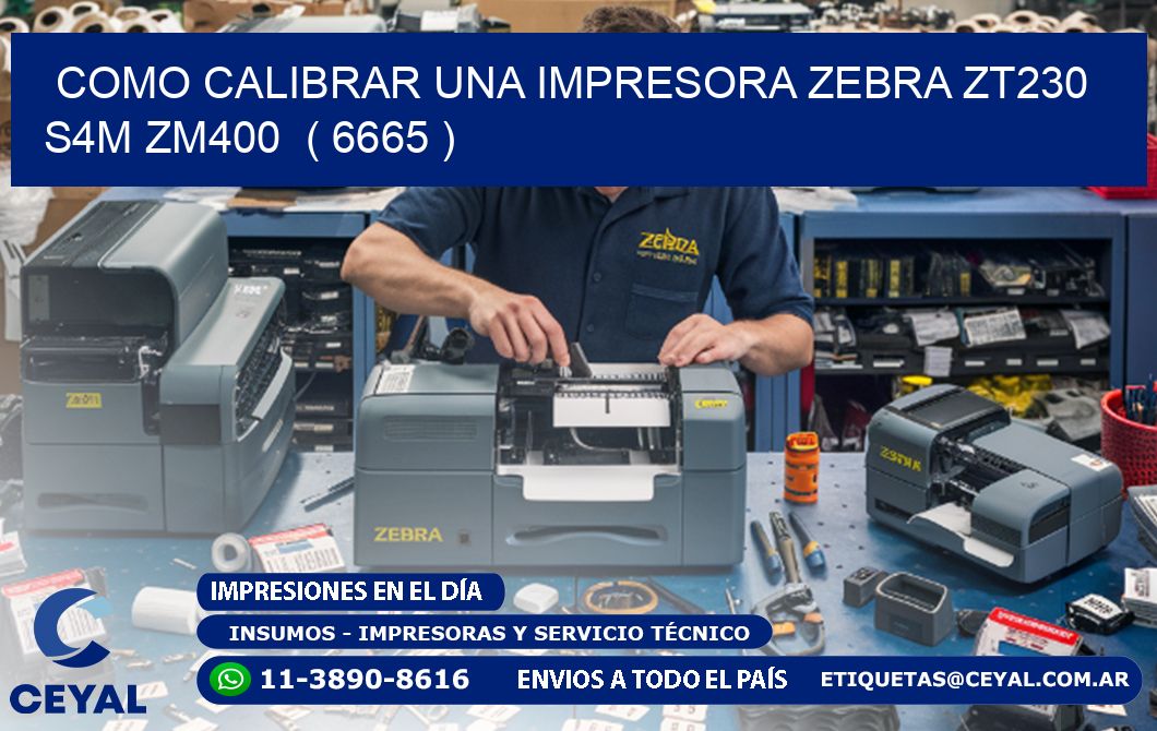 como calibrar una impresora zebra zt230 S4M ZM400  ( 6665 )