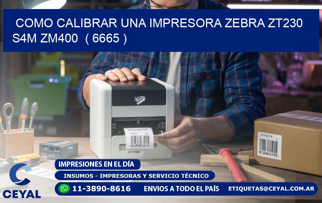 como calibrar una impresora zebra zt230 S4M ZM400  ( 6665 )