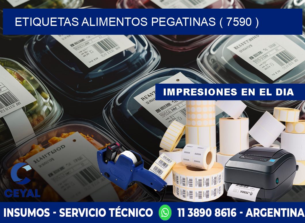 etiquetas alimentos pegatinas ( 7590 )