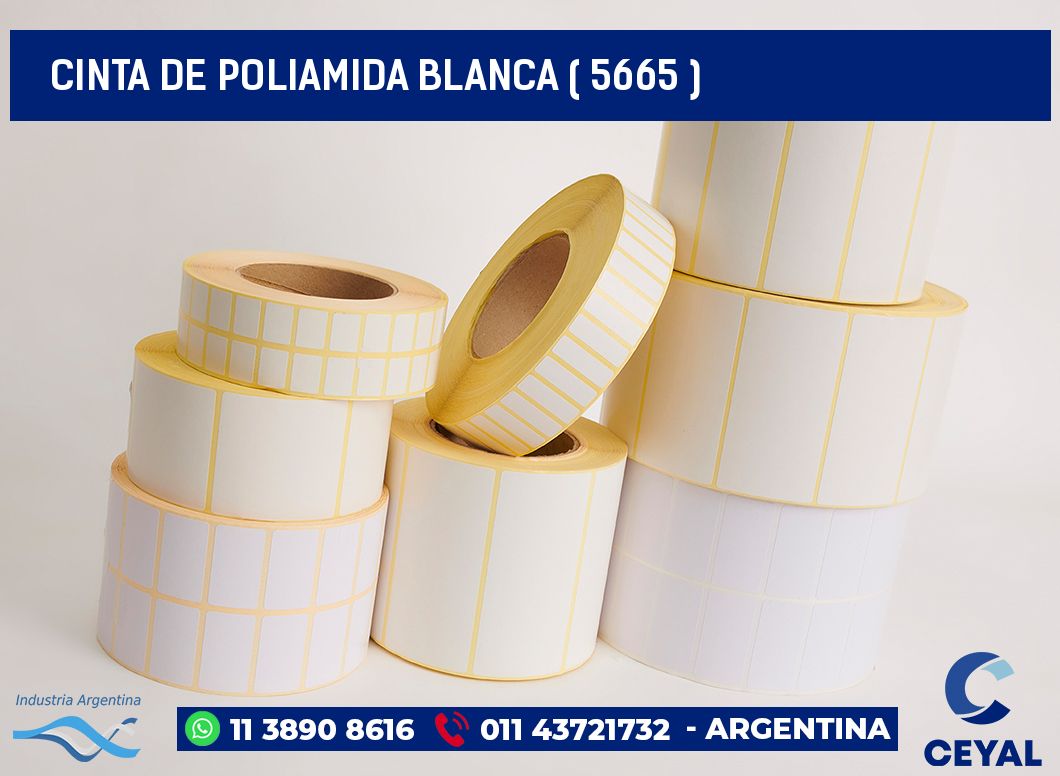 CINTA DE POLIAMIDA BLANCA ( 5665 )