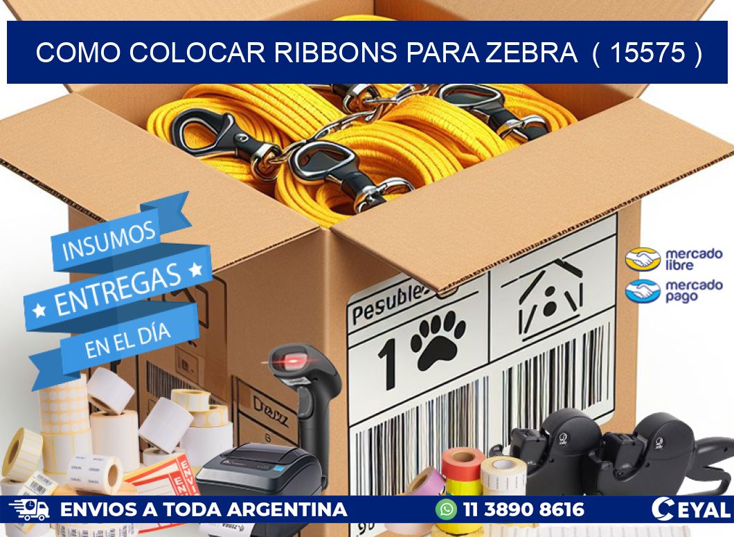 COMO COLOCAR RIBBONS PARA ZEBRA  ( 15575 )