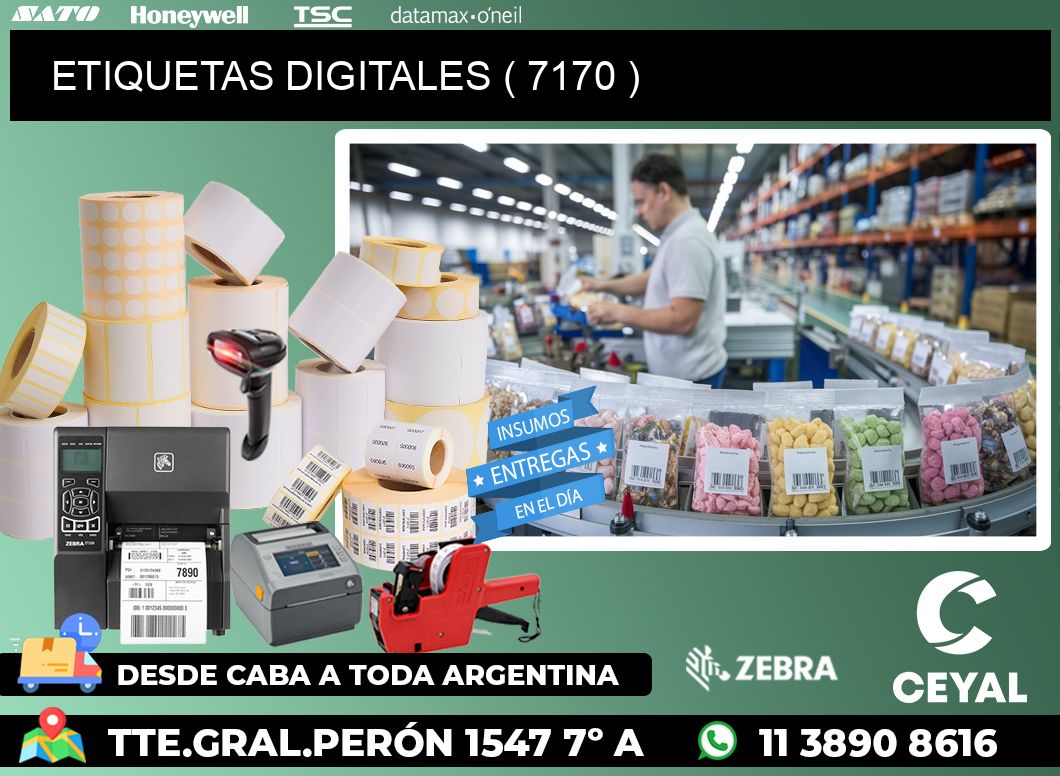 ETIQUETAS DIGITALES ( 7170 )