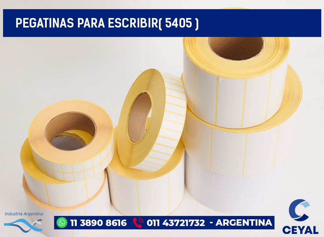 PEGATINAS PARA ESCRIBIR( 5405 )