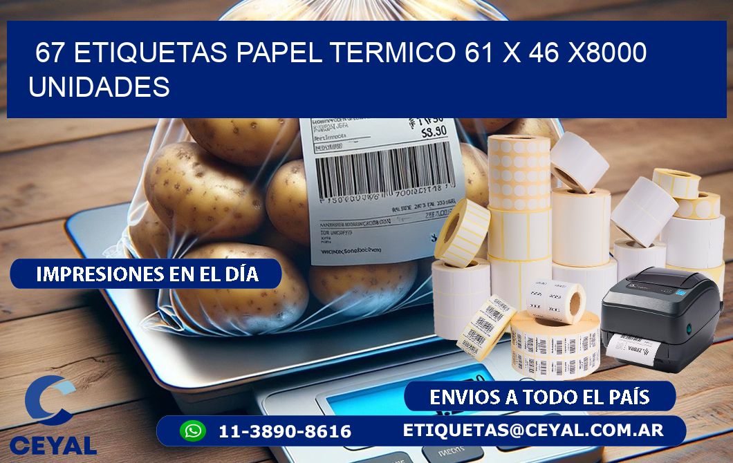 67 ETIQUETAS PAPEL TERMICO 61 x 46 X8000 UNIDADES